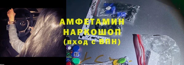 шишки Арсеньев