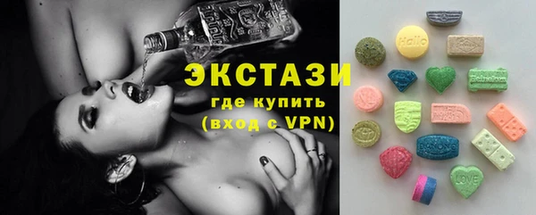 шишки Арсеньев