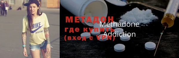шишки Арсеньев