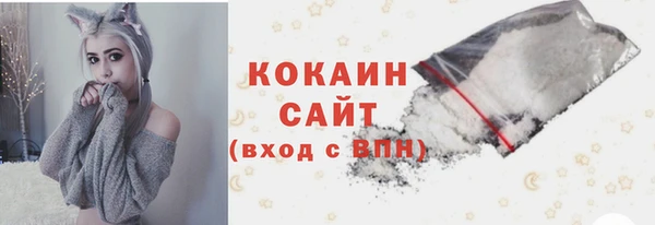 шишки Арсеньев