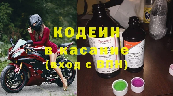 шишки Арсеньев