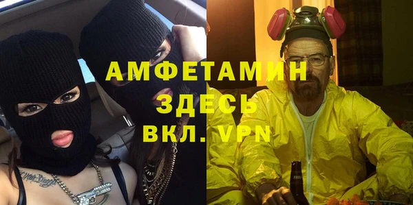шишки Арсеньев