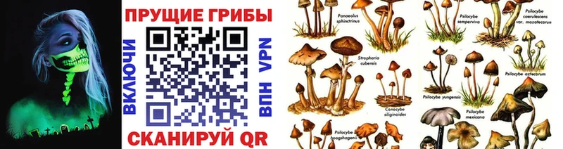 Галлюциногенные грибы MAGIC MUSHROOMS где продают наркотики Асбест